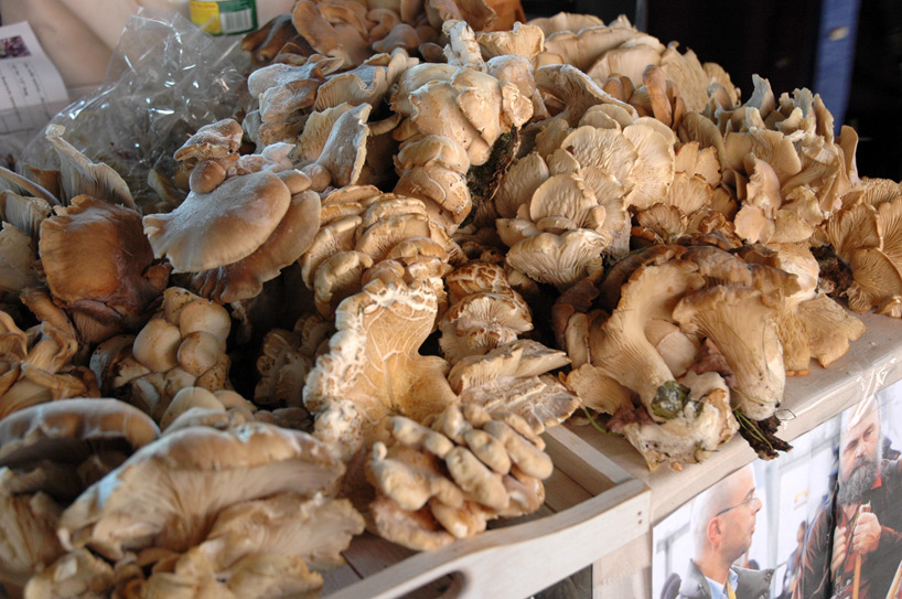 new amsterdam market