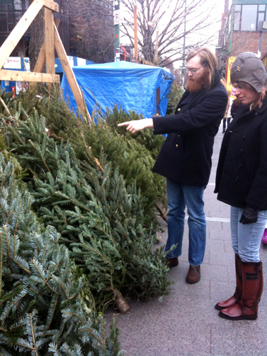 a tree grows in brooklyn