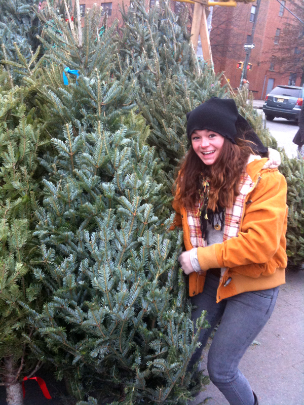 a christmas tree grows in brooklyn