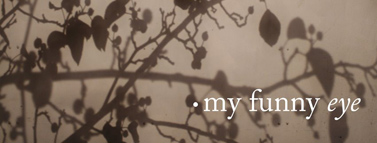my funny eye logo