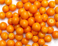 Cape Gooseberries
