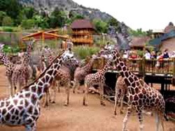 Cheyenne Mountain Zoo