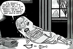 Like a Velvet Glove Cast in Iron by Daniel Clowes