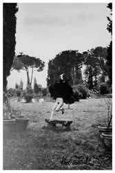 eyestorm helmut newtown