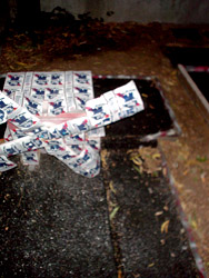 Miniature Golf at the Bushwick Country Club