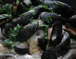 drunken mussles