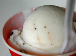 gino's vanilla chip italian ice