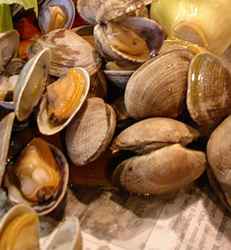 Clam Bake