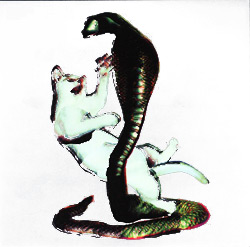 Les Savy Fav - The Cat and the Cobra