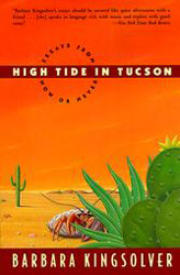 high tide in tuscon