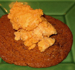 pumpkin ice cream ginger cookies