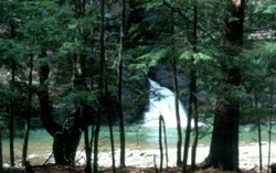 new york state parks