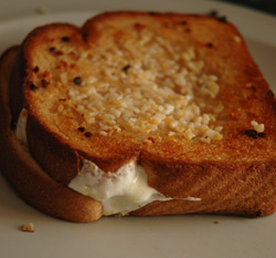 italian grilled cheese