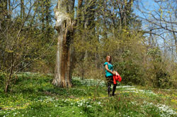 Old Westbury Gardens