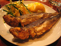 casa mono in praise of sardines 