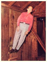 mystery spot santa cruz ca