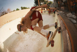 stacy peralta