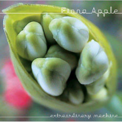 extraordinary machiene fiona apple