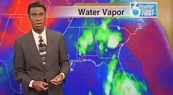 Weatherman vs. Cockroach