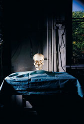 Max Aguilera-Hellweg