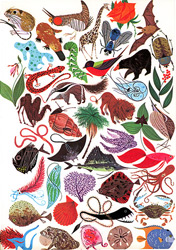 Charley Harper