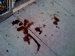 blood in greenpoint