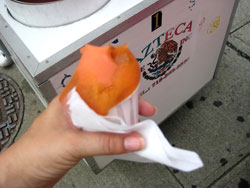 azteca passionfruit icee bronx zoo