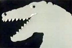 it came in the night a raincoat