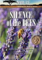 nature silence of the bees documentary