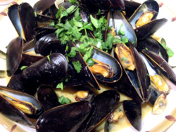 curry mussels recipe