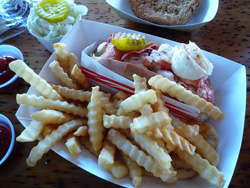 maine lobster roll lobster shack