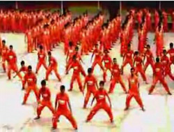 thriller prison video