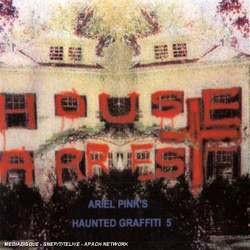 house arrest ariel pink's haunted graffiti